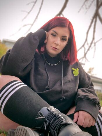 d0llydarko