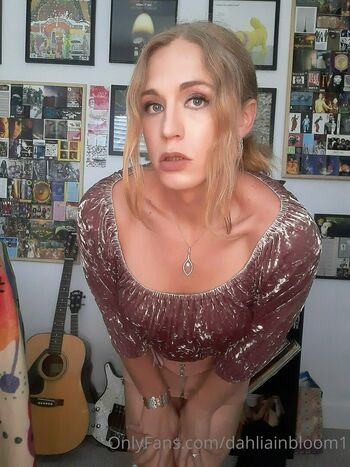 dahliainbloom1