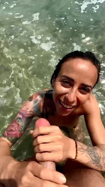 danidrishti