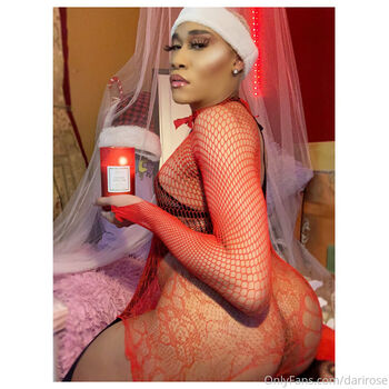 darirose