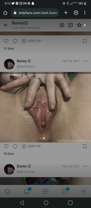Dark.Bunny