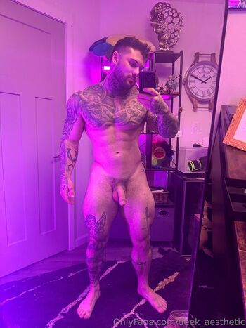 deek_aesthetic