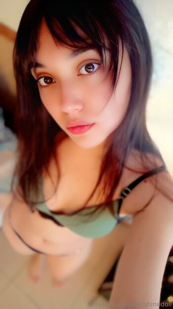 delphinedoll