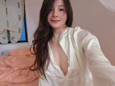 Ding1204