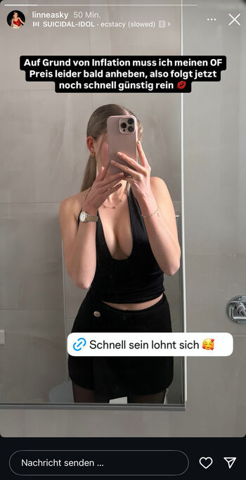Diskussion: Linneasky