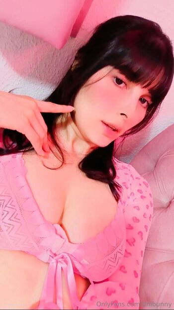 Dni Bunny