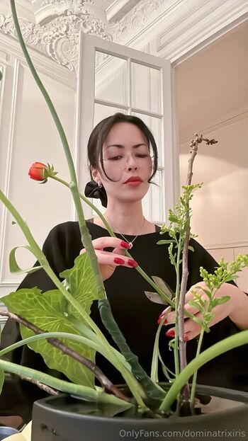 dominatrixiris