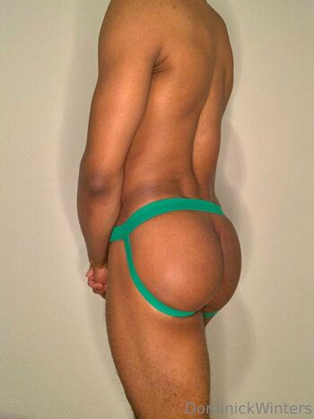 dominickwinters