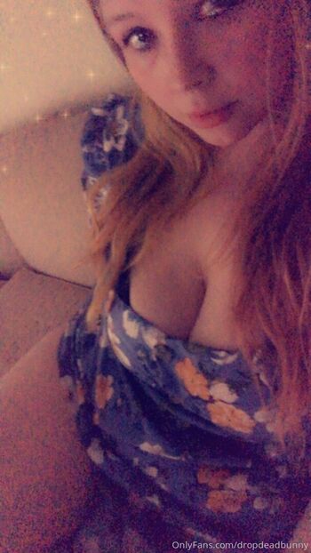 dropdeadbunny