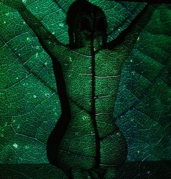 duchess.satine