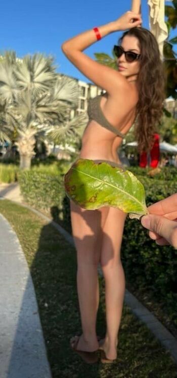Dyana Aryan