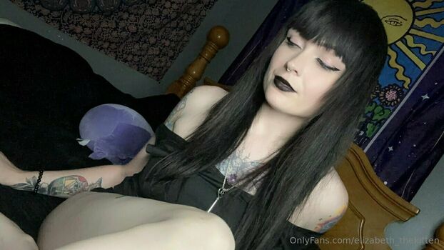 elizabeth_thekitten
