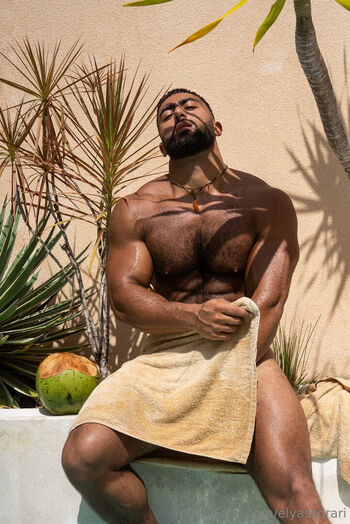 elyassorari