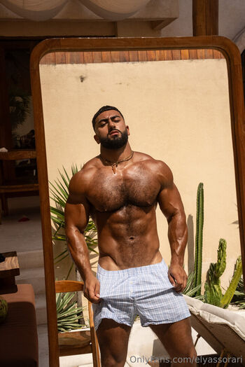 elyassorari