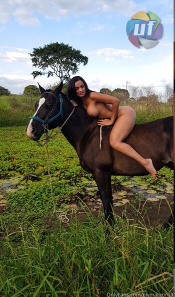Elymarzurita