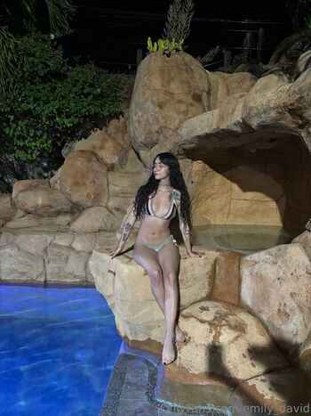 emily_david
