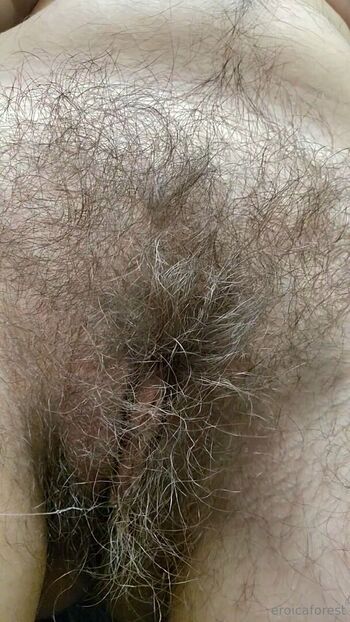 eroicaforest