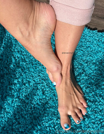 evasnylons