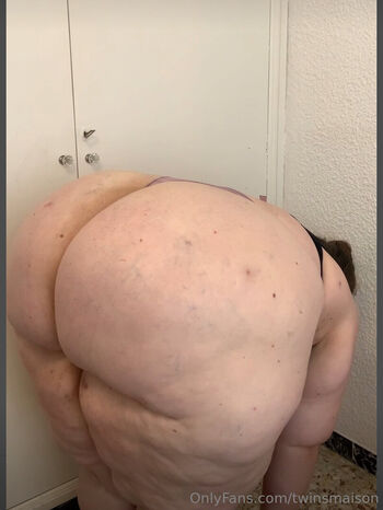 fatbigasstwins