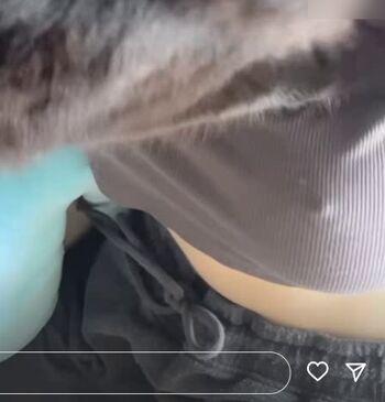 Feedeline