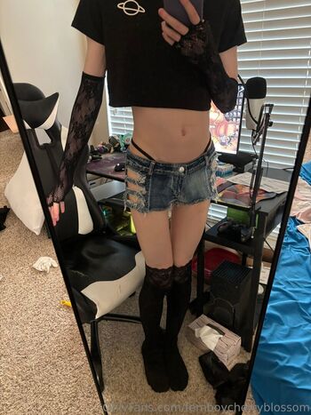 femboycherryblossom