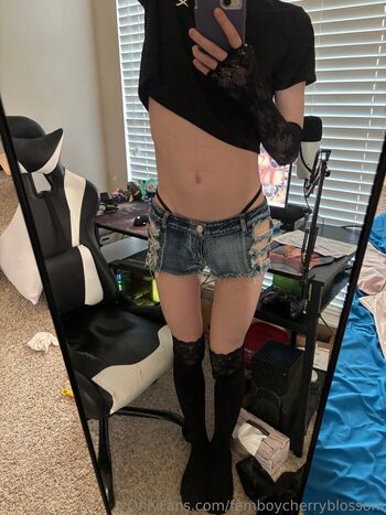 femboycherryblossom
