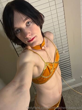 femboycherryblossom