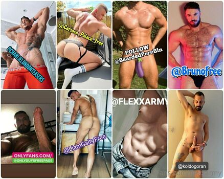 flexxarmy