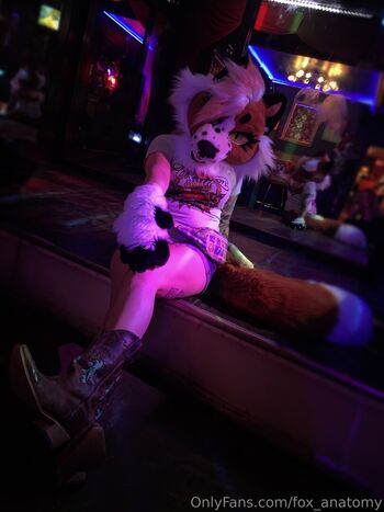 fox_anatomy