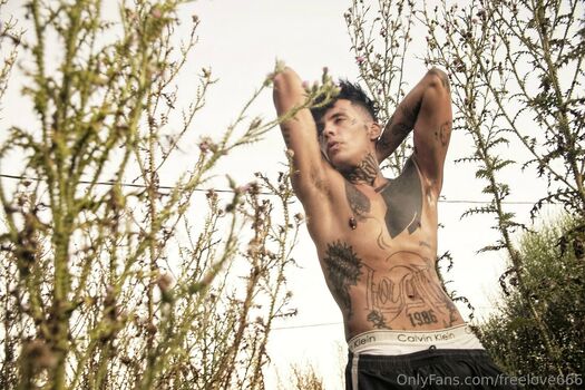 freelove666