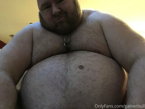 gainerbull