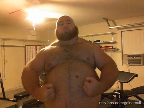 gainerbull