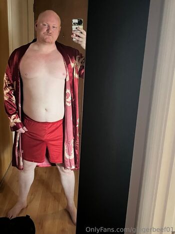 gingerbeef01