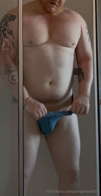 gingerbeef01