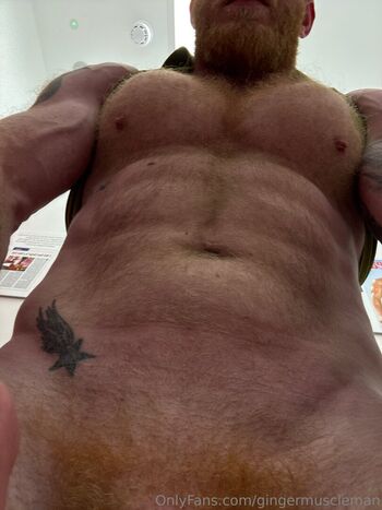 gingermuscleman