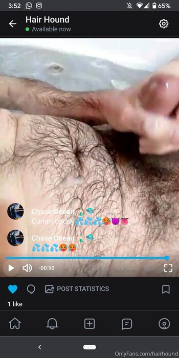 hairhound