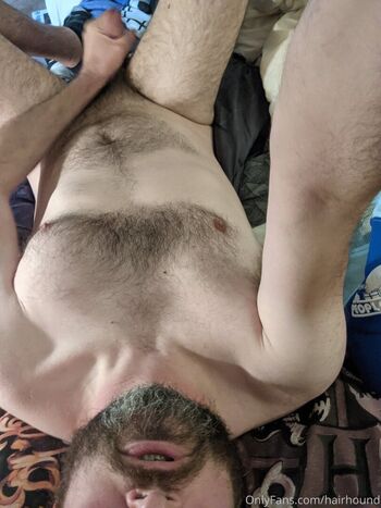 hairhound