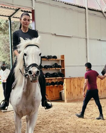 Hande Ercel