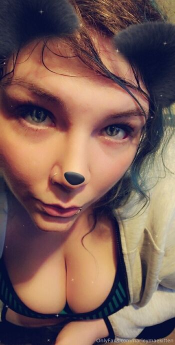 harleymaekitten