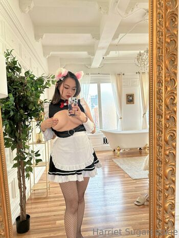 Harriet Sugarcookie