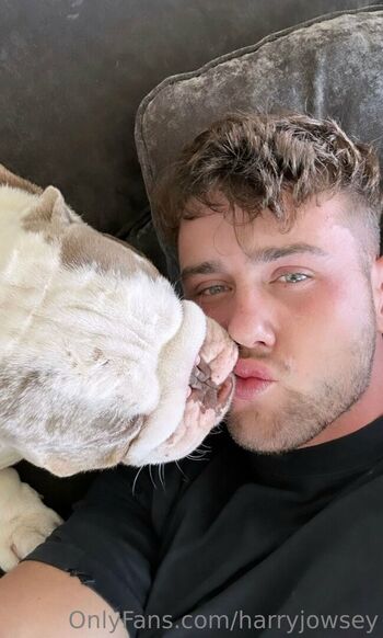 harryjowsey