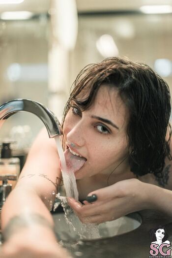 Haub Suicide