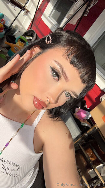 haybeann