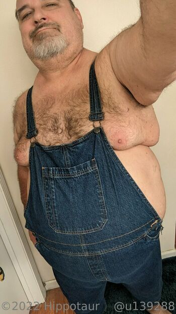 hippotaur