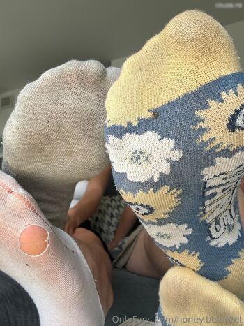 honey.bee.feet