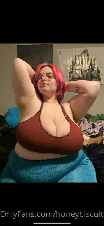 honeybiscuit20