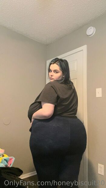honeybiscuit20