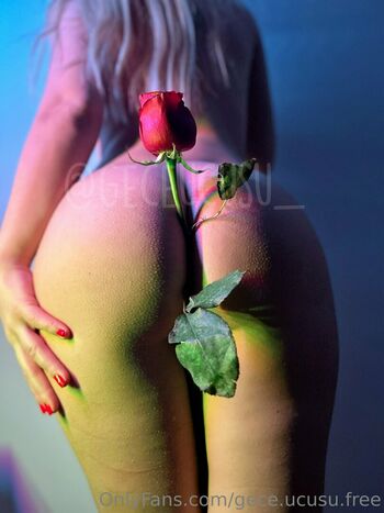 hotwifegece