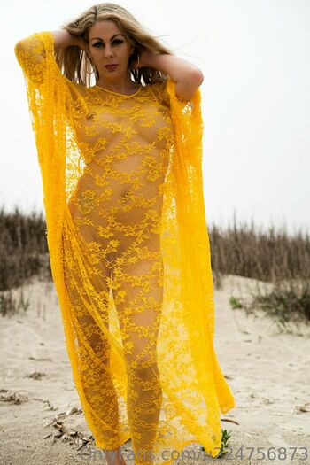 houstons_vixen
