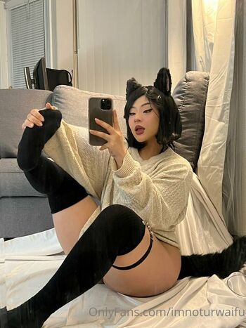 imnoturwaifu